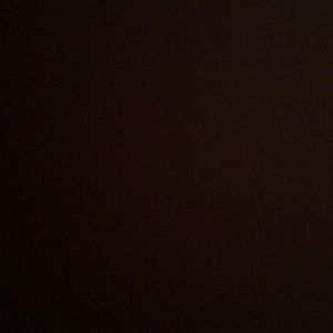 Meet your Posher, Savannah